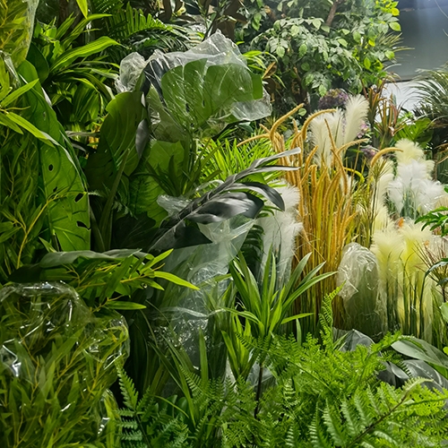 香港綠色植物